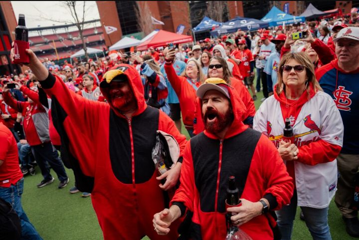 Bidding War Erupts: New Offer for Cardinals Shocks Fans