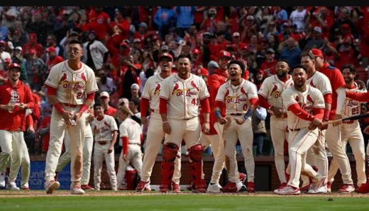 Star Player Rejects Contract Renewal, Makes It Clear He Only Wants Cardinals